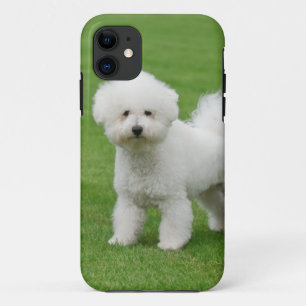 Bichon Frise iPhone 11 Hoesje