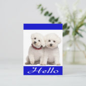 Bichon Frise Chien Chien Chien Bonjour Carte de po (Debout devant)