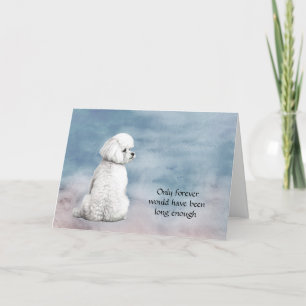 Bichon Frise Chien Perdre carte de sympathie