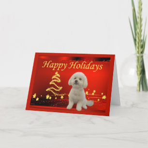 Bichon Frise Christmas Kaart Stars