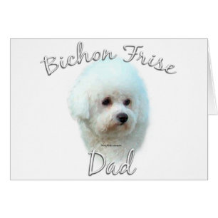 Bichon Frise Dad 2