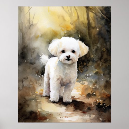Bichon Frise Dog Art Imprimer Poster (Devant)