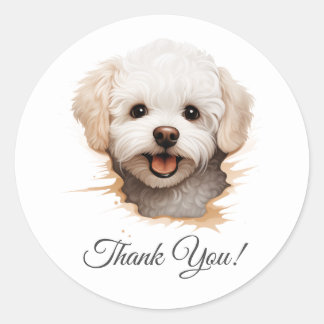 Bichon Frise Dog Bedankt Ronde Sticker