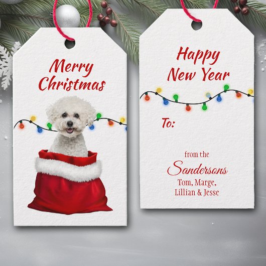 Bichon Frise Dog in Santa Bag Cadeaulabel