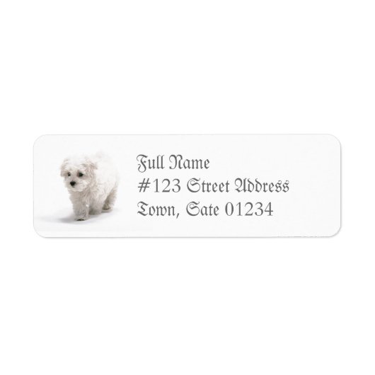 Bichon Frise Dog Mailing Label (Voorkant)