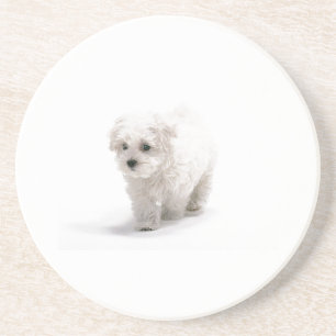 Bichon Frise Dog Onderzetter