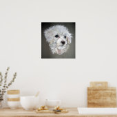 Bichon Frise Dog Portret Poster afdrukken (Keuken)