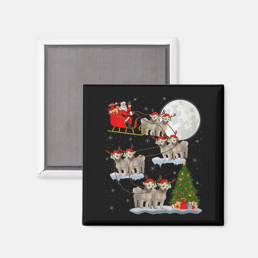 Bichon Frise Dog Santa Sleigh Flying Funny Magical Magneet (Voorkant / Achterkant)