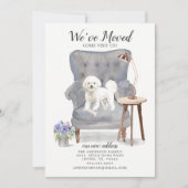 Bichon Frise Dog We hebben de aankondiging verplaa (Voorkant)