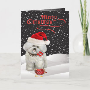 Bichon Frise Een vrolijk kerst Wenskaart Feestdagen Kaart
