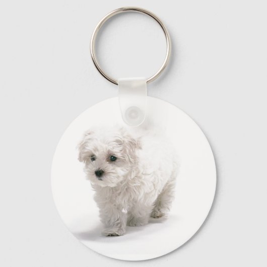 Bichon Frise Foto Sleutelhanger (Voorkant)