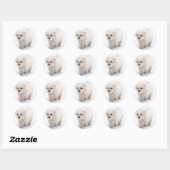 Bichon Frise Foto Stickers (Vel)