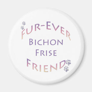 Bichon Frise Furever Magneet