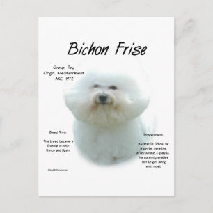 Bichon Frise Geschiedenis; Alles over Bichon Frise Briefkaart