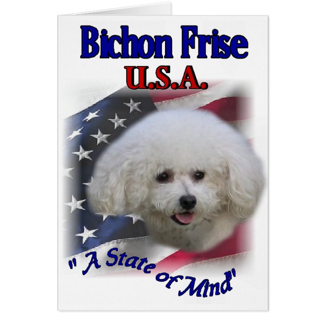 Bichon Frise Gifts (Voorkant)