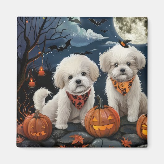 Bichon Frise Halloween Spooky Magneet (Voorkant)