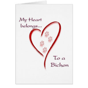 Bichon Frise Heart Belongs
