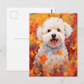 Bichon Frise Herfst Dankdag  Briefkaart (Voorkant / Achterkant)