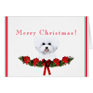  Bichon Frise Holiday-kaart