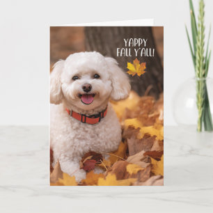 Bichon Frise-hond met herfstbladeren voor Thanksgi Feestdagen Kaart