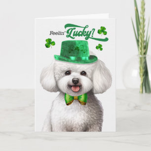 Bichon Frise-hond voelt zich Lucky St. Patrick's D Feestdagen Kaart
