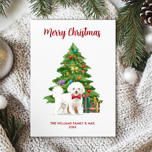 Bichon Frise hondenfamilie Kerstmis Feestdagenkaart