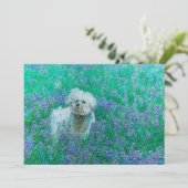 Bichon Frise in Bluebonnets Bedankkaart (Staand voorkant)