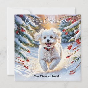 Bichon Frise in Sneeuw Cute Hond Winter Kerstmis Feestdagenkaart