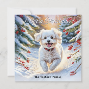 Bichon Frise in Sneeuw Schattigee Hond Winter Kers Feestdagenkaart