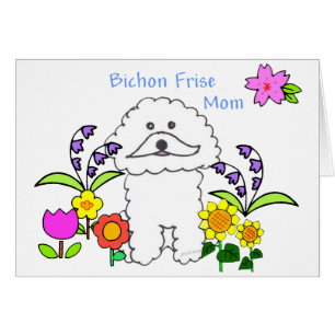 Bichon Frise-kaart