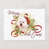 Bichon Frise Kerst Briefkaarten (Voorkant)