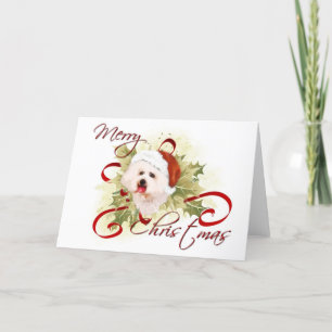 Bichon Frise Kerst Kaarten