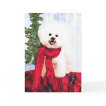 Bichon Frise kerstKaart
