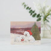 Bichon Frise Kerstmis Feestdagenkaart (Staand voorkant)