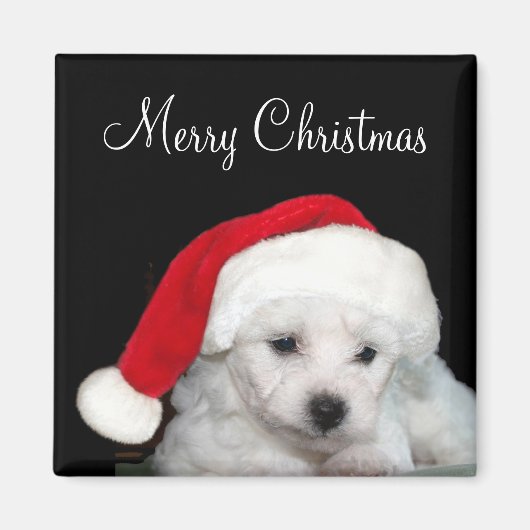 Bichon Frise Kerstmis Magneet (Voorkant)