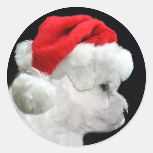 Bichon Frise Kerstmis Ronde Sticker (Voorkant)