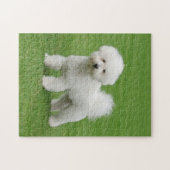 Bichon Frise Legpuzzel (Horizontaal)
