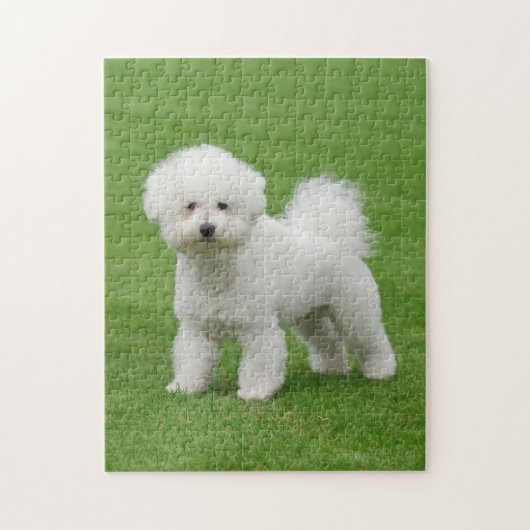 Bichon Frise Legpuzzel (Verticaal)