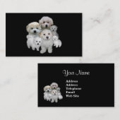 Bichon Frise Lover Visitekaartje (Voorkant / Achterkant)