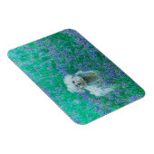 Bichon Frise Magneet (Rechterzijde)