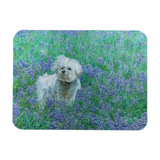 Bichon Frise Magneet (Horizontaal)