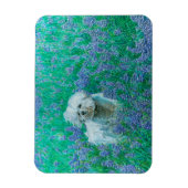 Bichon Frise Magneet (Verticaal)