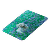 Bichon Frise Magneet (Linkerzijde)