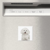 Bichon Frise Magnet (In Situ (Lave-vaisselle))