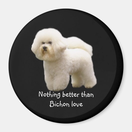 Bichon Frise Magnet (Devant)