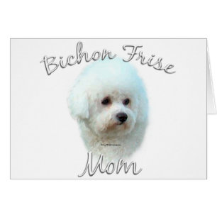 Bichon Frise Maman 2