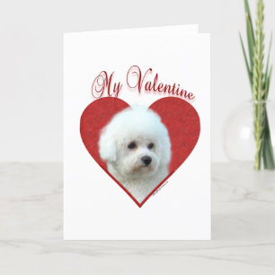 Bichon Frise Mijn Valentijn Feestdagen Kaart