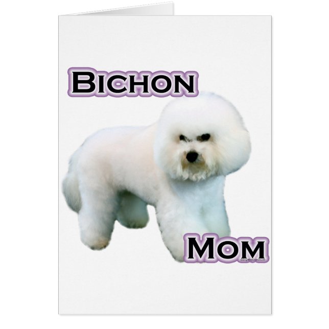 Bichon Frise Moeder 4 (Voorkant)