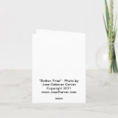 Bichon Frise - Notecard Kaart (Achterkant)