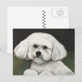 Bichon Frise Original Dog Art Briefkaart (Voorkant / Achterkant)